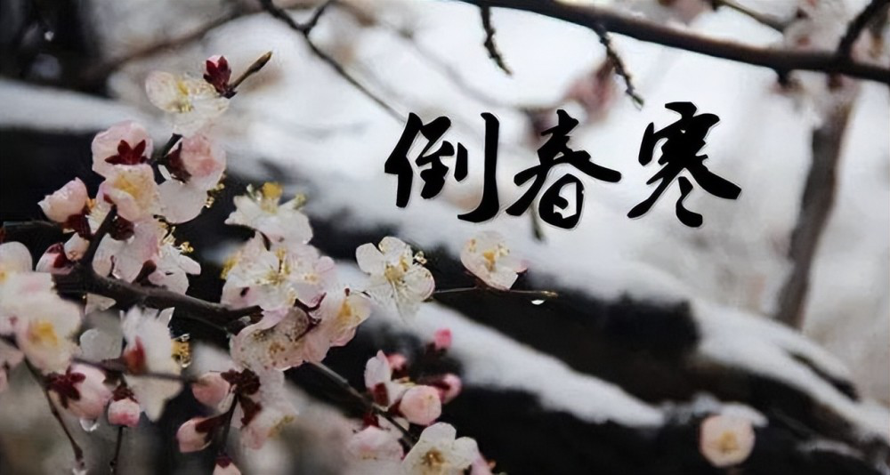 圖片1-1.png